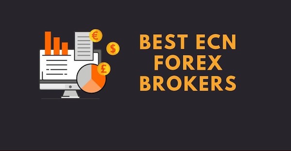 Best auto forex trading software
