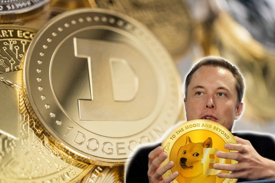 What Elon Musk has with Dogecoin